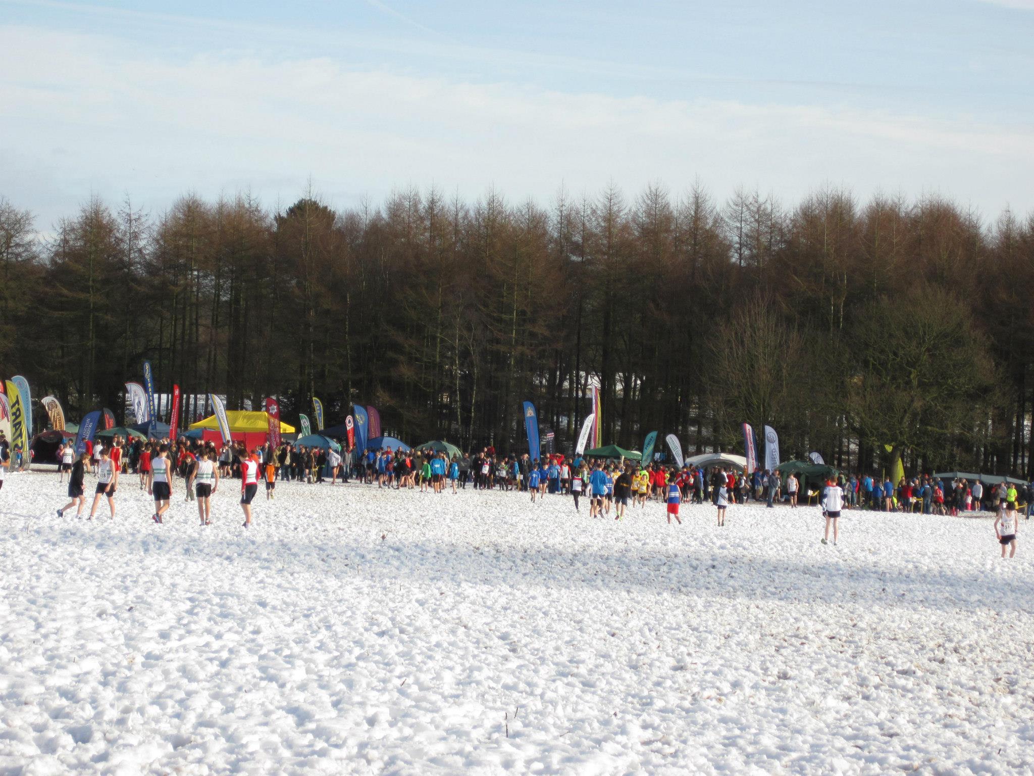 A snowy Knowsley Park, Liverpool