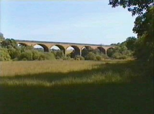 Nine Arches Viaduct from the meadows (on a nice day)