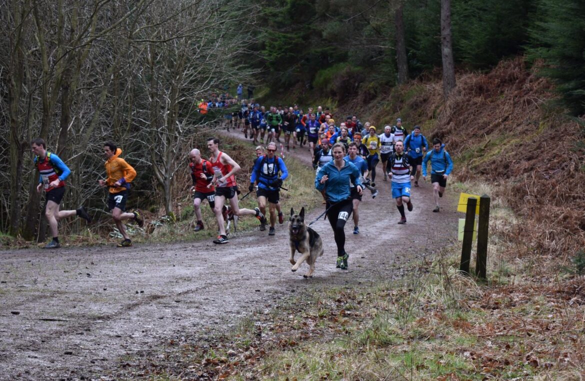 Thrunton store woods mtb